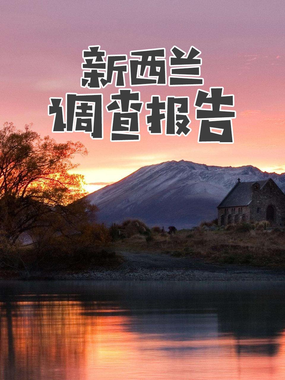 新西兰调查报告