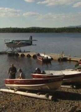 缅因州美国的狂野东部