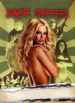 办公室强揉秘书处A片视频